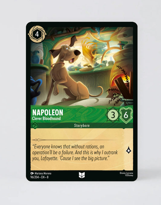 Napoleon - Clever Bloodhound